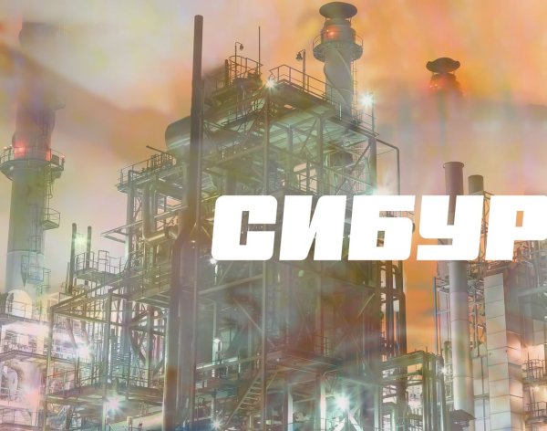 Сибур Нефтехим логотип