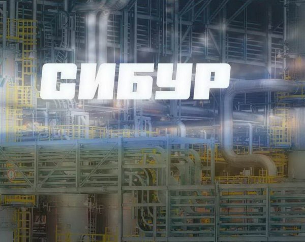 Сибур Кстово логотип