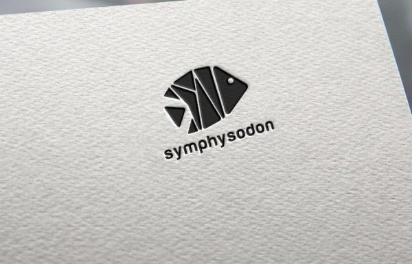 Стильный минималистичный логотип