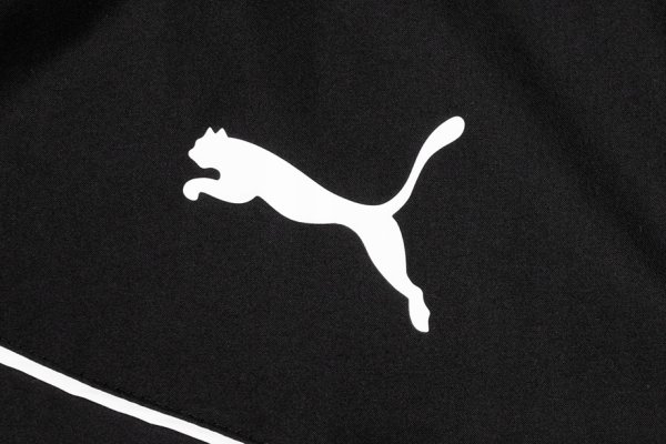 Пума знак бренда