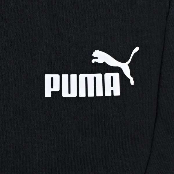 Спортивная фирма с пумой