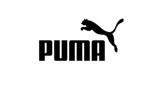 Котенок Пумы