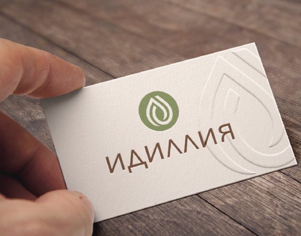 Подача логотипа заказчику