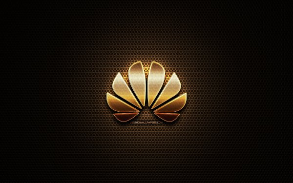 Huawei logo Evolution