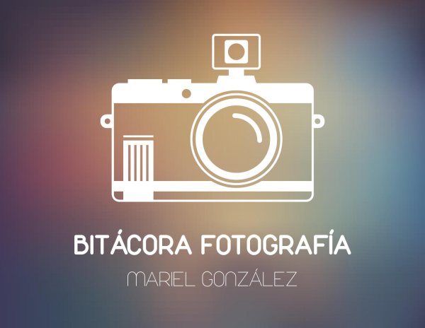 Стильный логотип фотографа