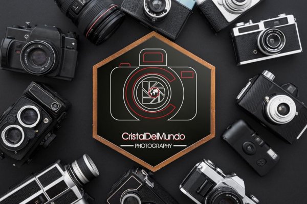 Стильный логотип фотографа