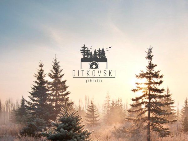 Значок камеры