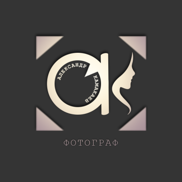 Стильный логотип фотографа