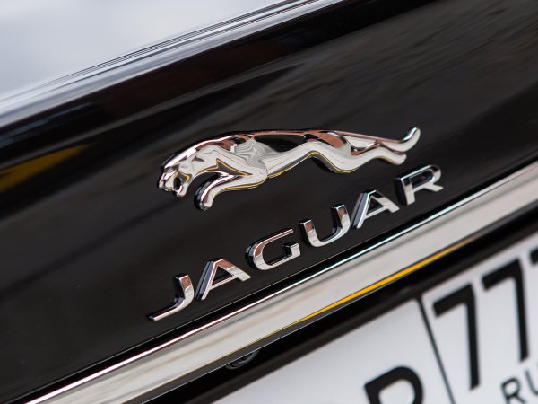 Jaguar логотип