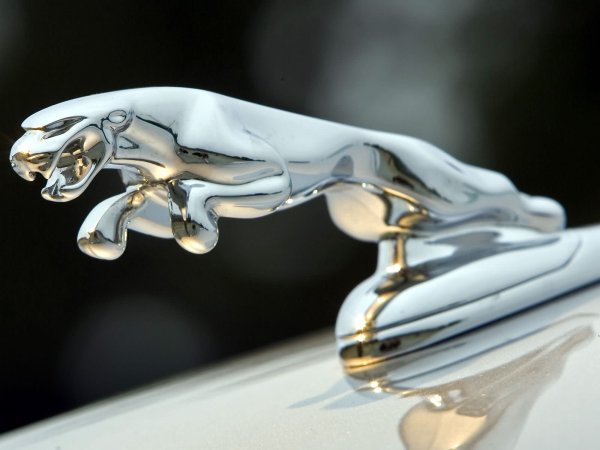 Знак автомобиля Ягуар