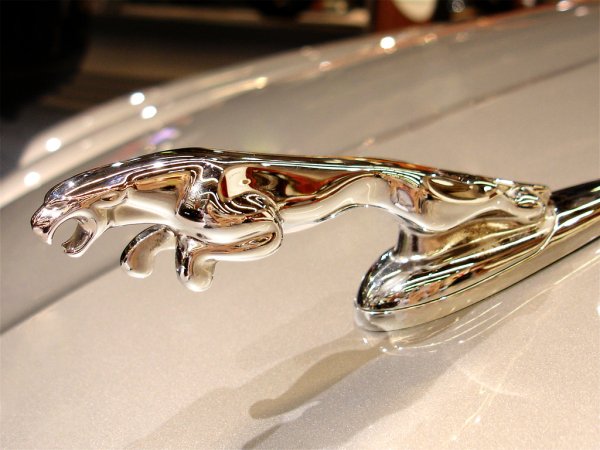 Автомобильный знак машины Ягуар