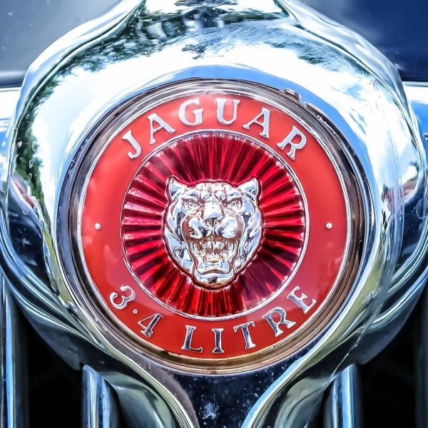 Ягуар значок