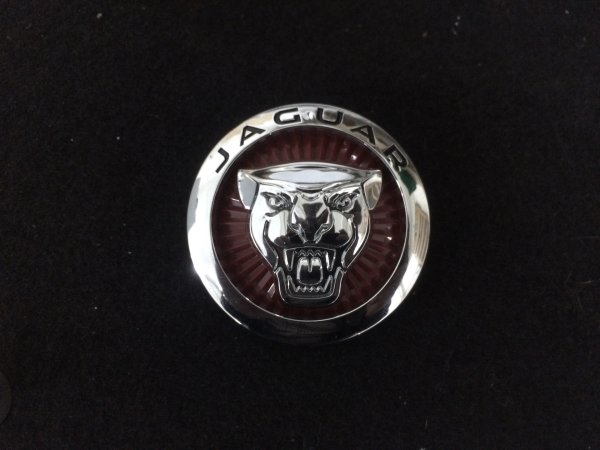 Марка Ягуар значок