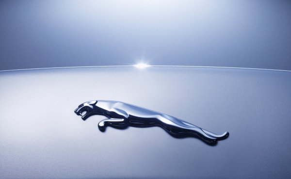 Jaguar car logo