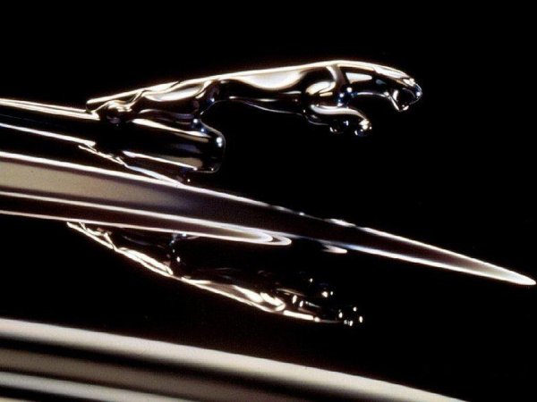 Ягуар значок