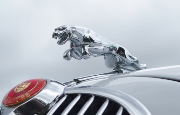 Новый логотип Ягуар