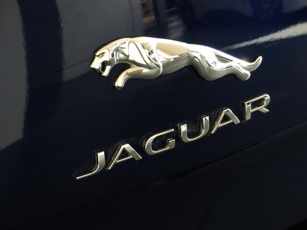 Jaguar марка