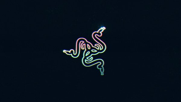 Райзер Густав Ульрих