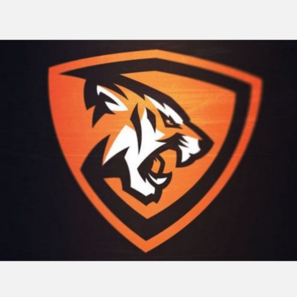 Команда тигров