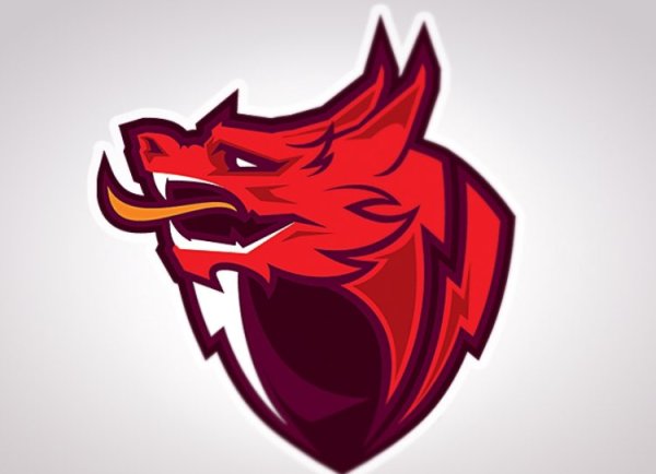 Логотип для команды дракон