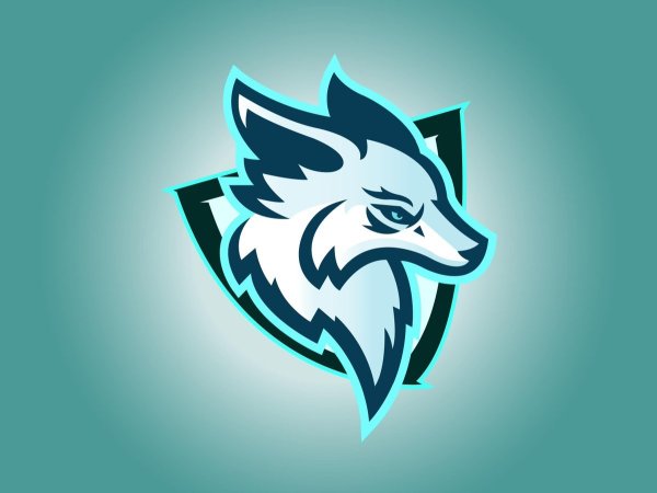 Эмблема морских Волков