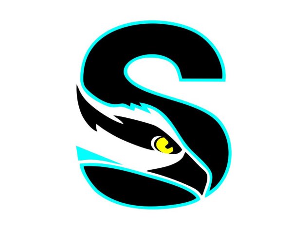 Аватарка с буквой s