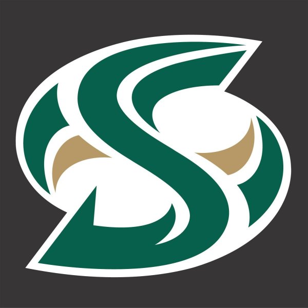 Логотип s современный