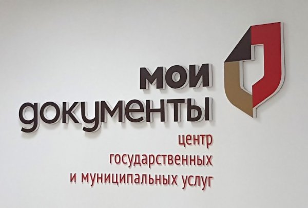 Многофункциональный центр логотип