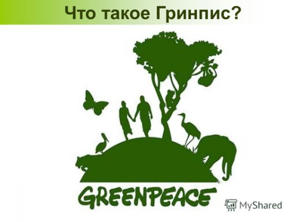 Экологическая организация Гринпис