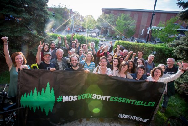 Гринпис участники