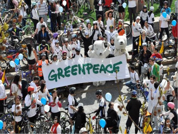 Деятельность Greenpeace