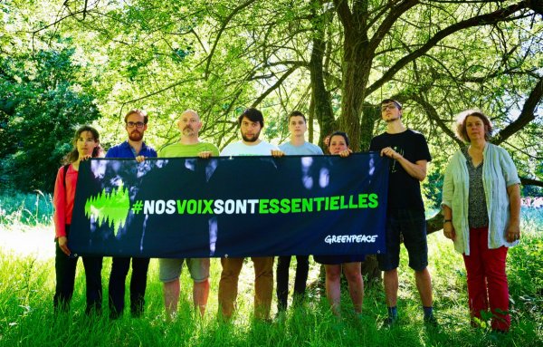 Гринпис природа