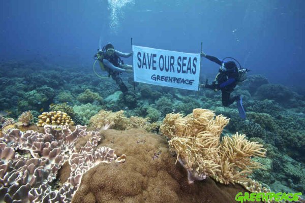 Гринпис благотворительность