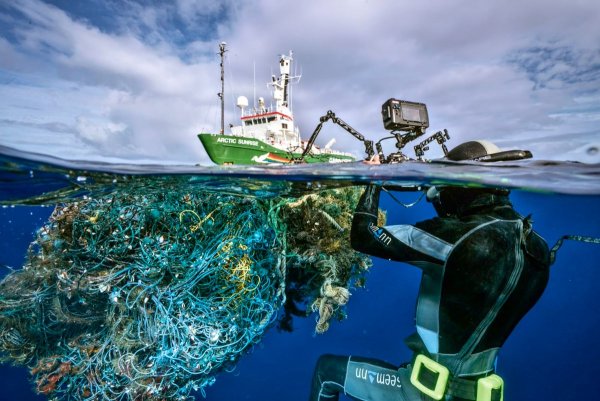 Фильм Гринпис