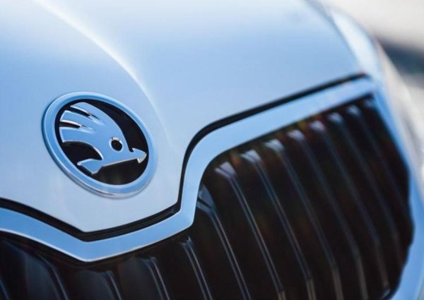 Шкода лого 2019