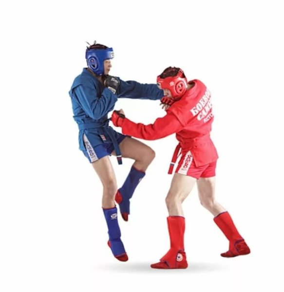 Изображение самбо