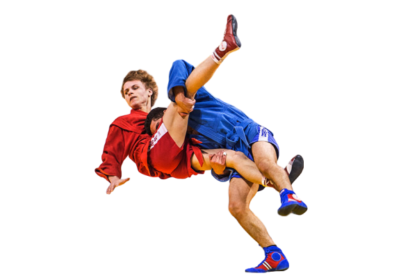 Борцы самбо