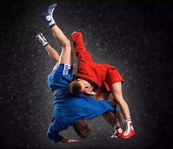 Борьба самбо