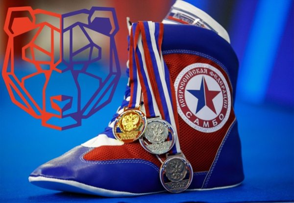 Картинки Федерация самбо