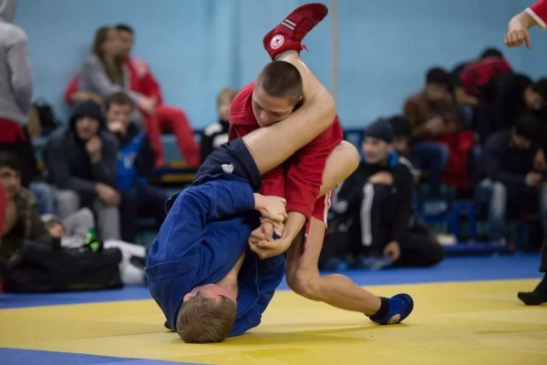 Спорт боевое самбо