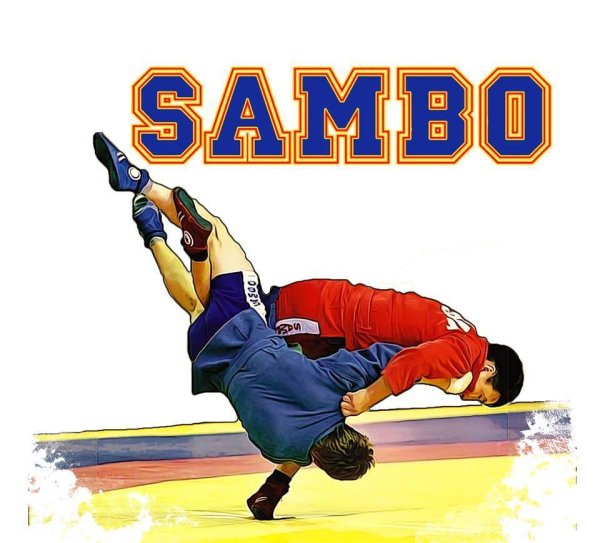 Изображение самбо