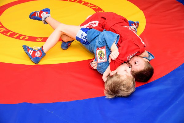 Самбо баннер