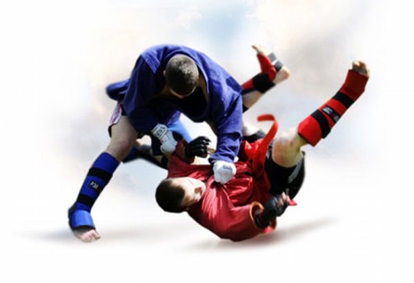 Боевое самбо