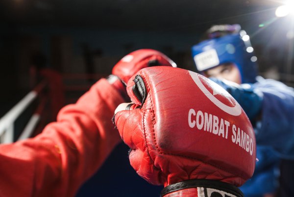 Самбо на рабочий стол