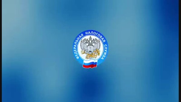 Федеральная налоговая служба РФ