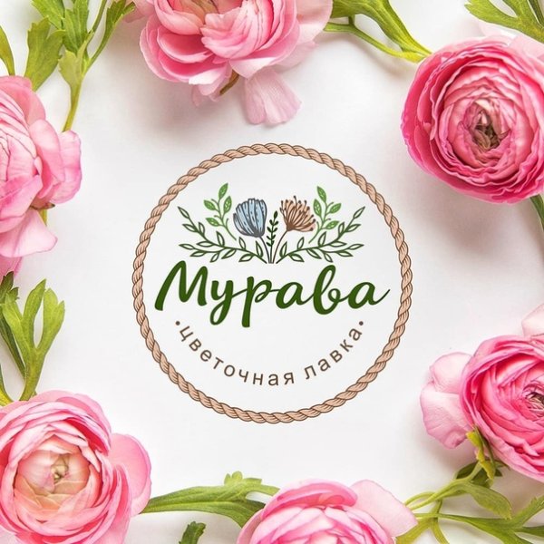 Цветок символ Окинавы