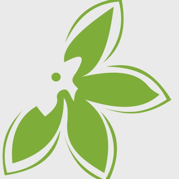 Каменный цветок логотип