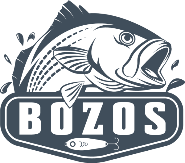 Аквапарк логотип с рыбой