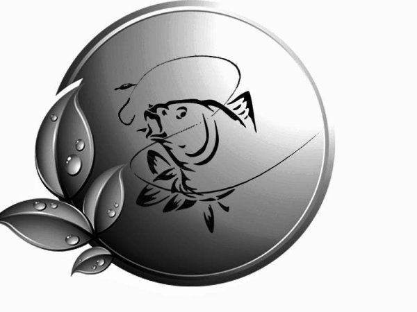 Надписи в форме рыбы