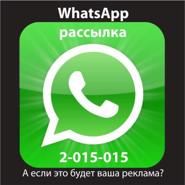 Логотип ватсап на белом фоне